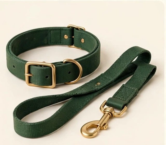 Dog collar and leash