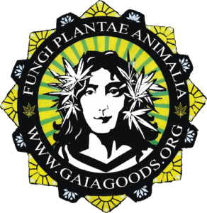 Store Icon