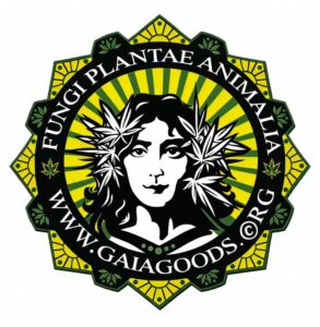 Store Icon