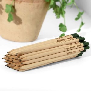 SproutWorld Plantable Pencils - Single Pencil