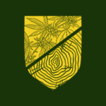 Store Icon