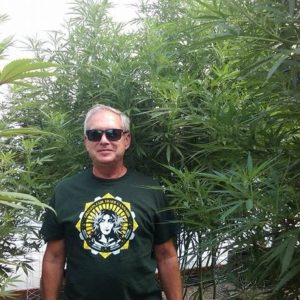 gaia-hemp-2015