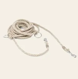 Training Leash
